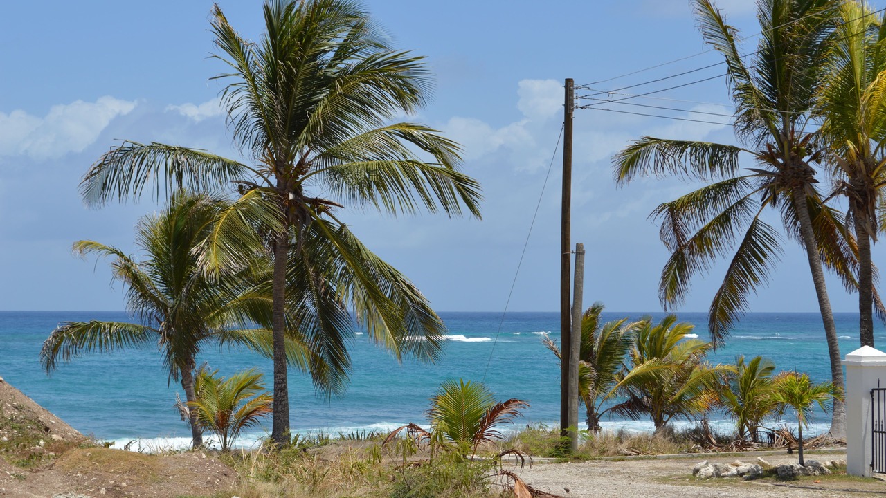 Photo of Others in Silver Sands