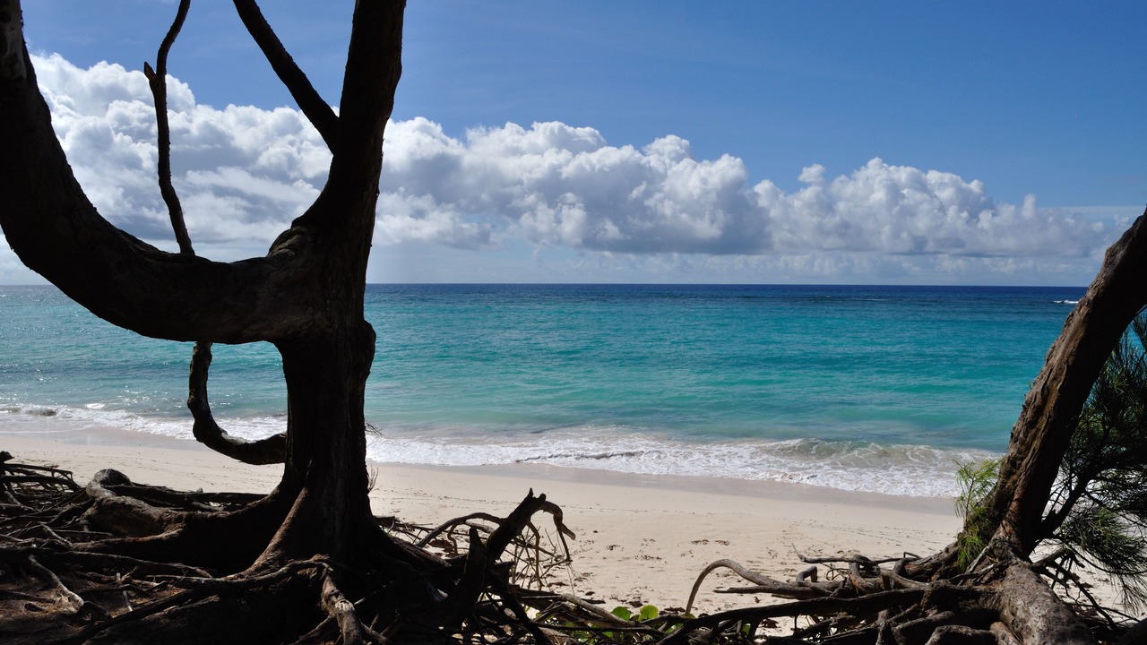 Photo of Others in Silver Sands