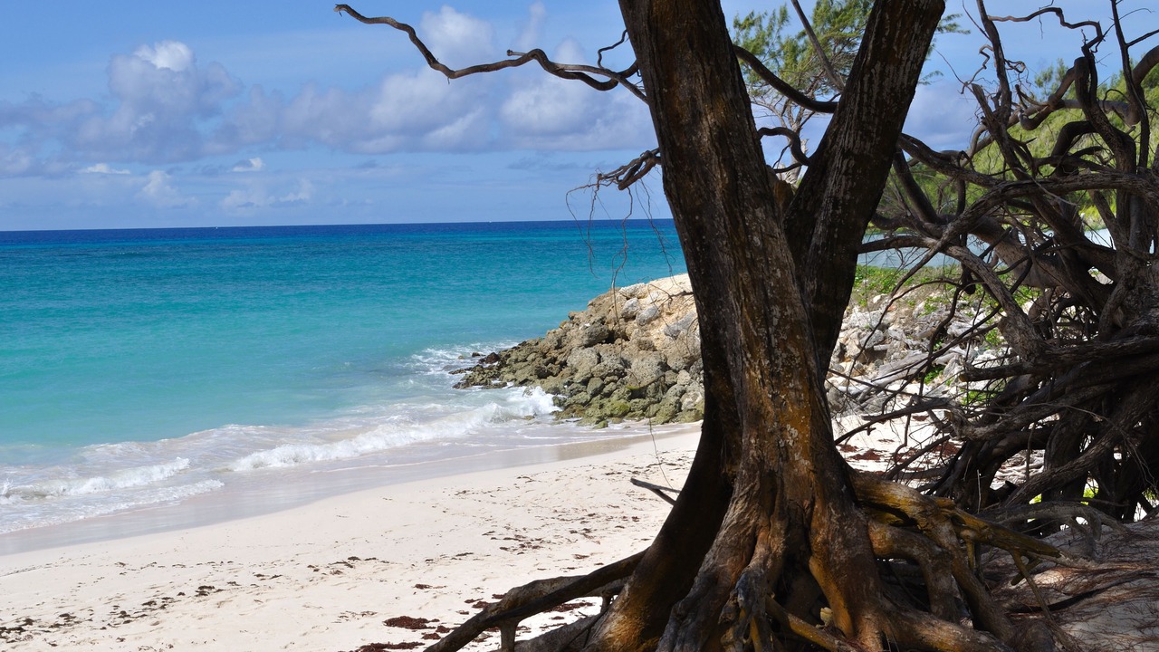Photo of Others in Silver Sands