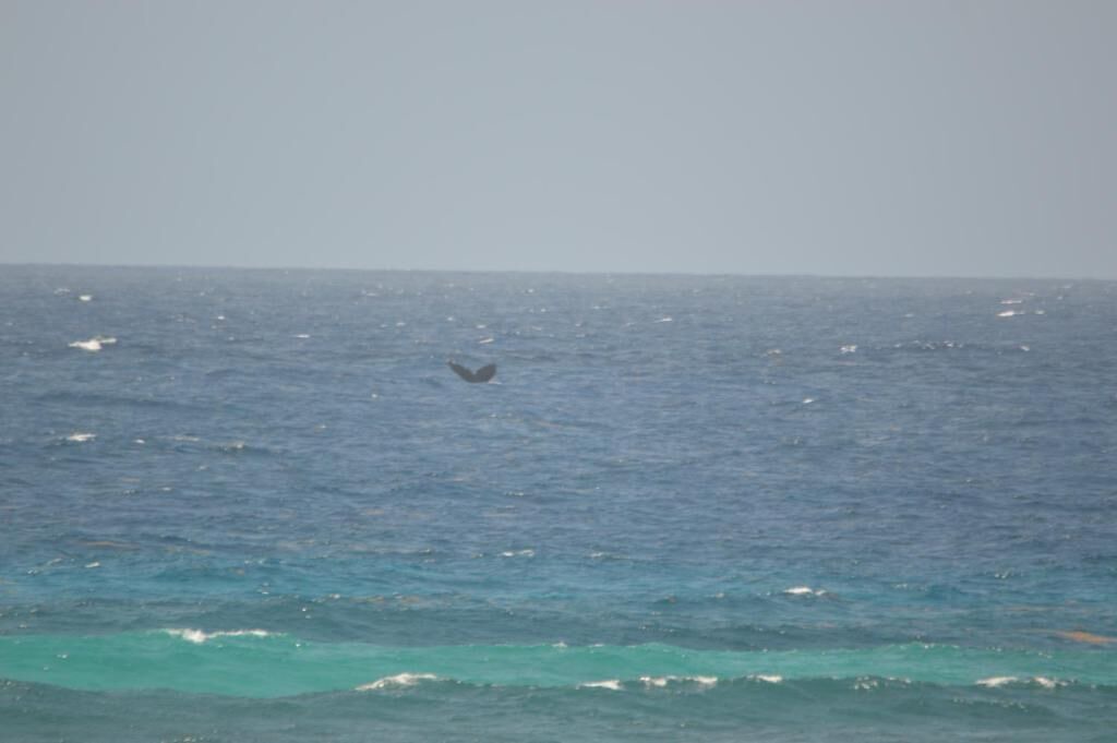 Photo of Others in Silver Sands