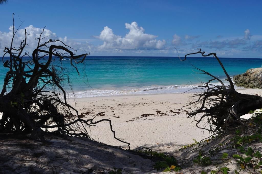 Photo of Outdoor in Silver Sands