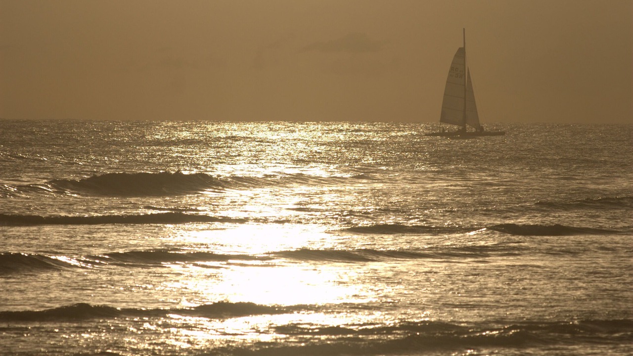 Photo of Others in Hastings