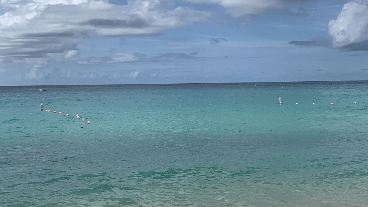 Photo of Others in Merlin Bay