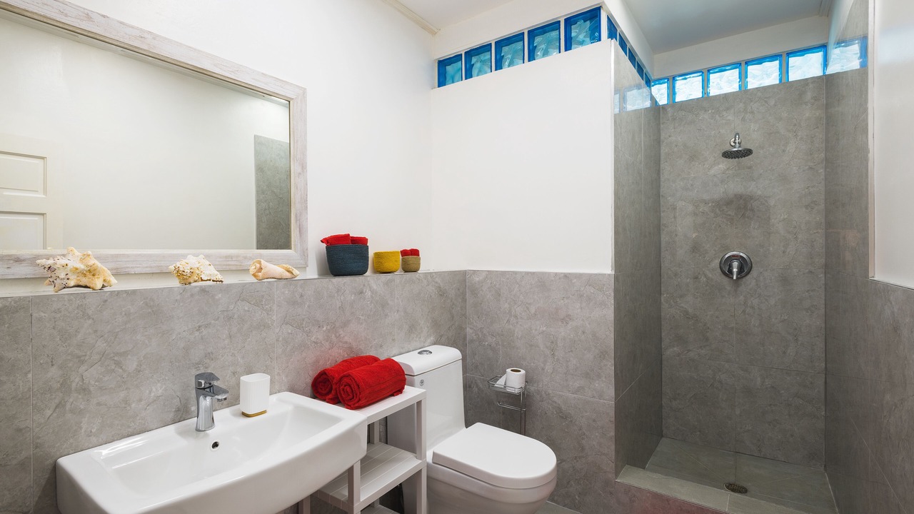 Photo of Bathroom in Speightstown