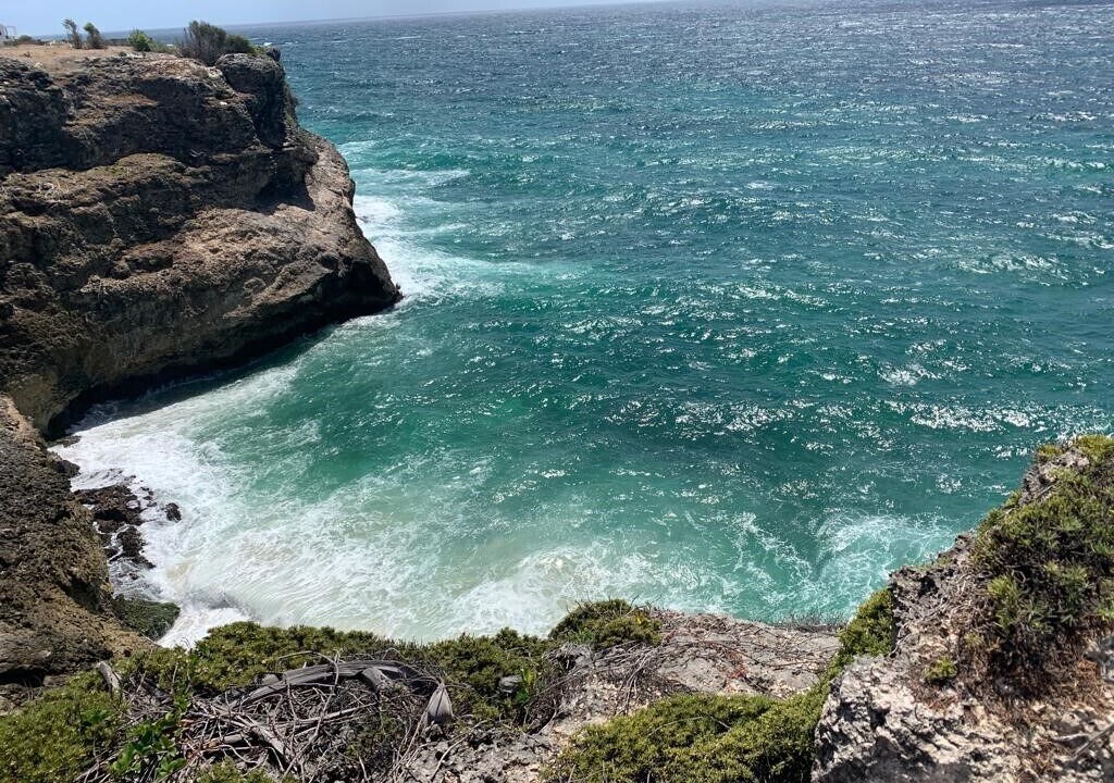 Photo of Others in Ragged Point
