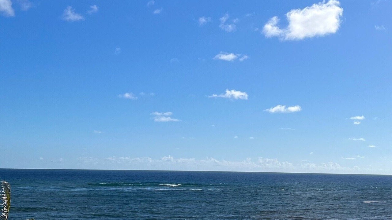 Photo of Others in Ragged Point