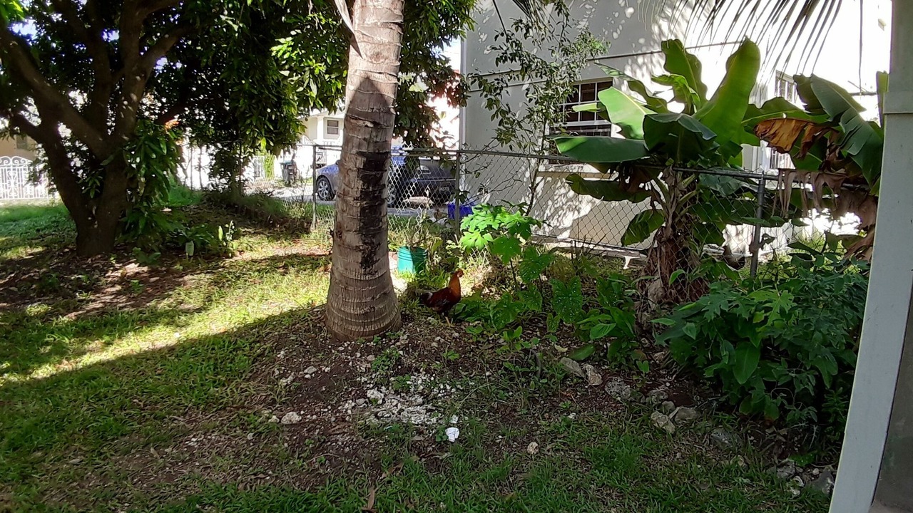 Photo of Outdoor in Douglas