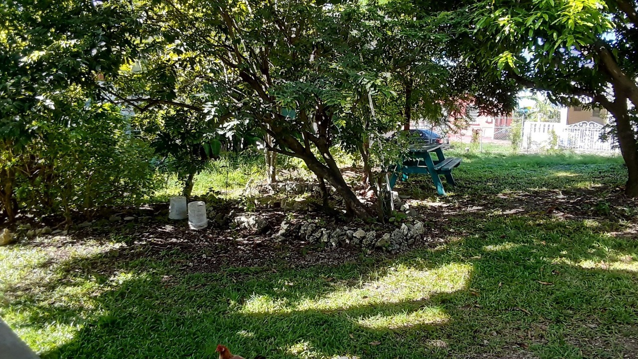 Photo of Outdoor in Douglas