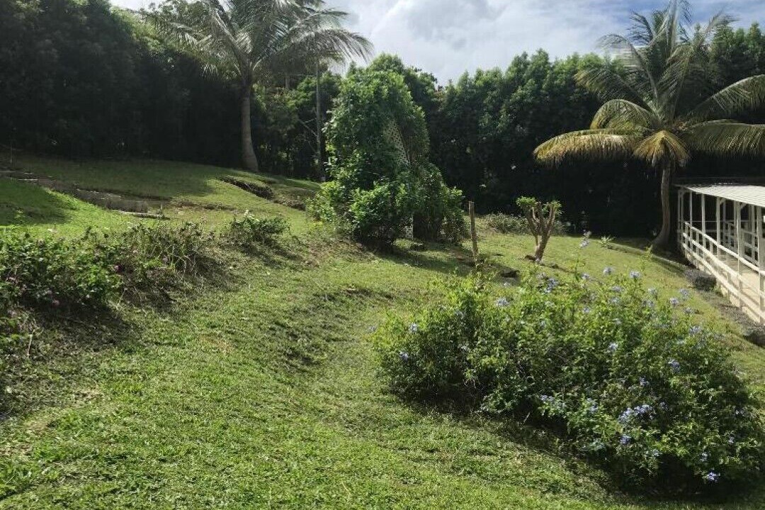 Photo of Outdoor in Westmoreland