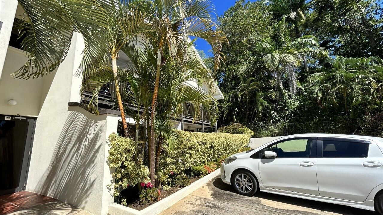 Photo of Outdoor in Holetown