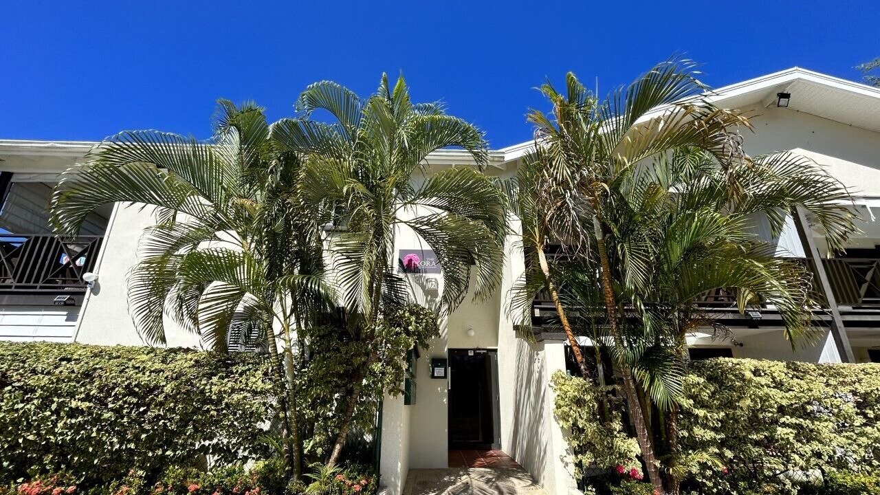 Photo of Outdoor in Holetown
