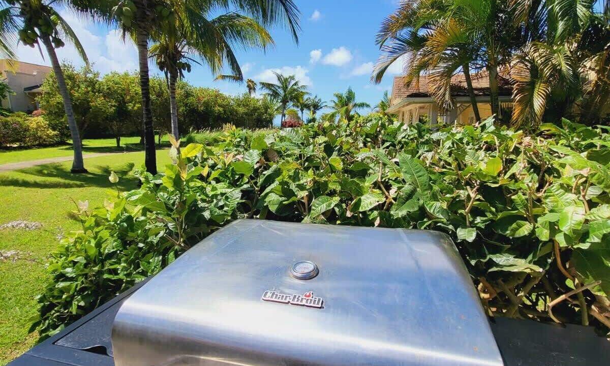 Photo of Outdoor in Speightstown