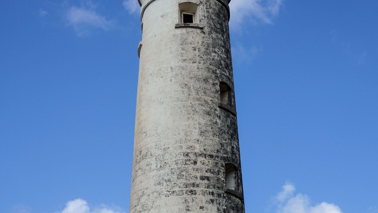 Photo of Others in Ragged Point