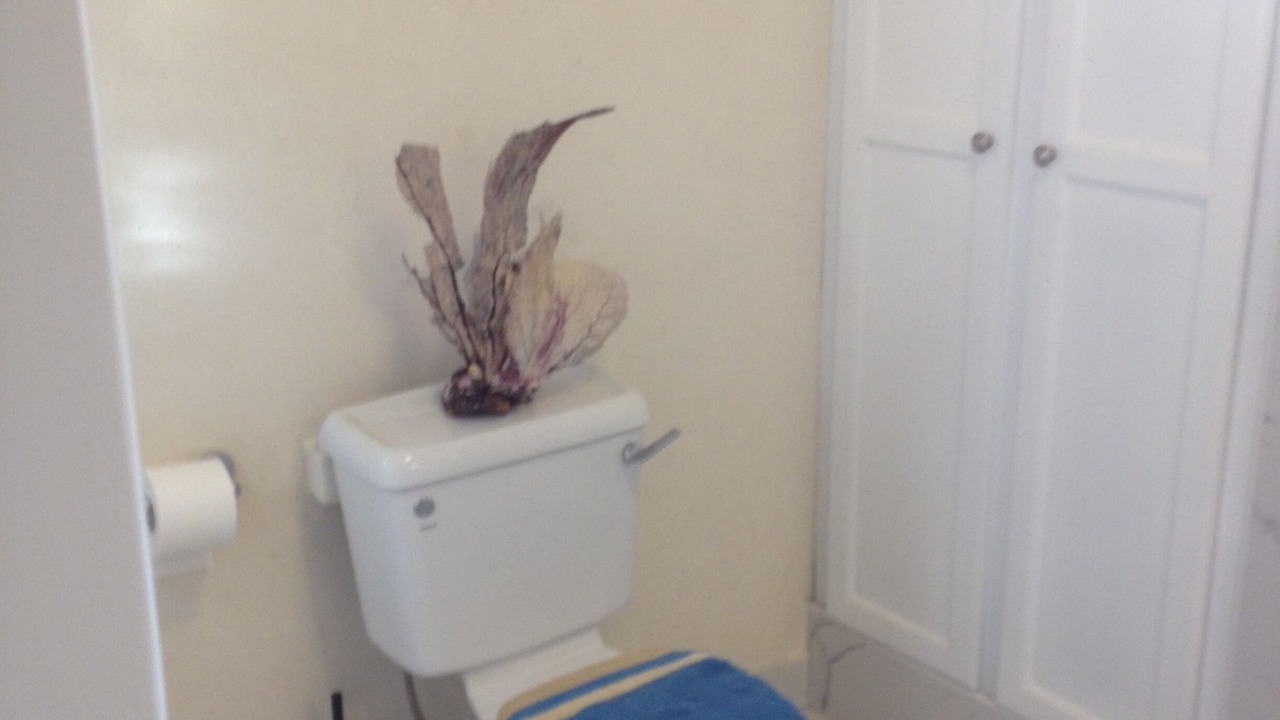 Photo of Bathroom in Silver Sands