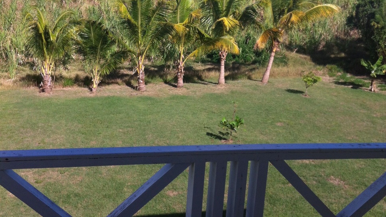 Photo of Outdoor in West Coast