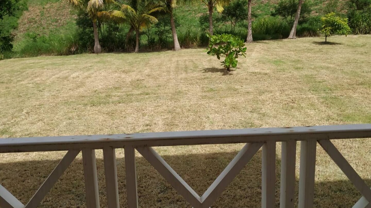 Photo of Outdoor in West Coast