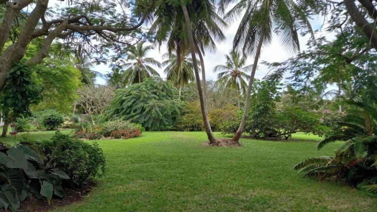 Photo of Outdoor in Gibbs Bay