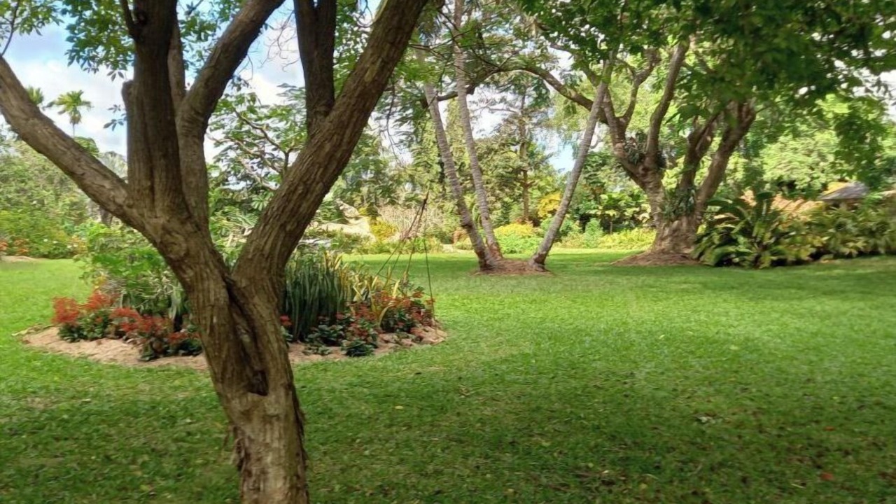 Photo of Outdoor in Gibbs Bay