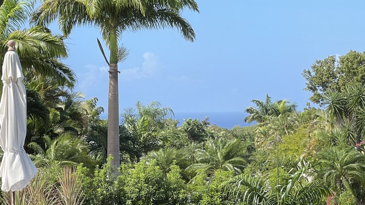 Photo of Outdoor in Porters