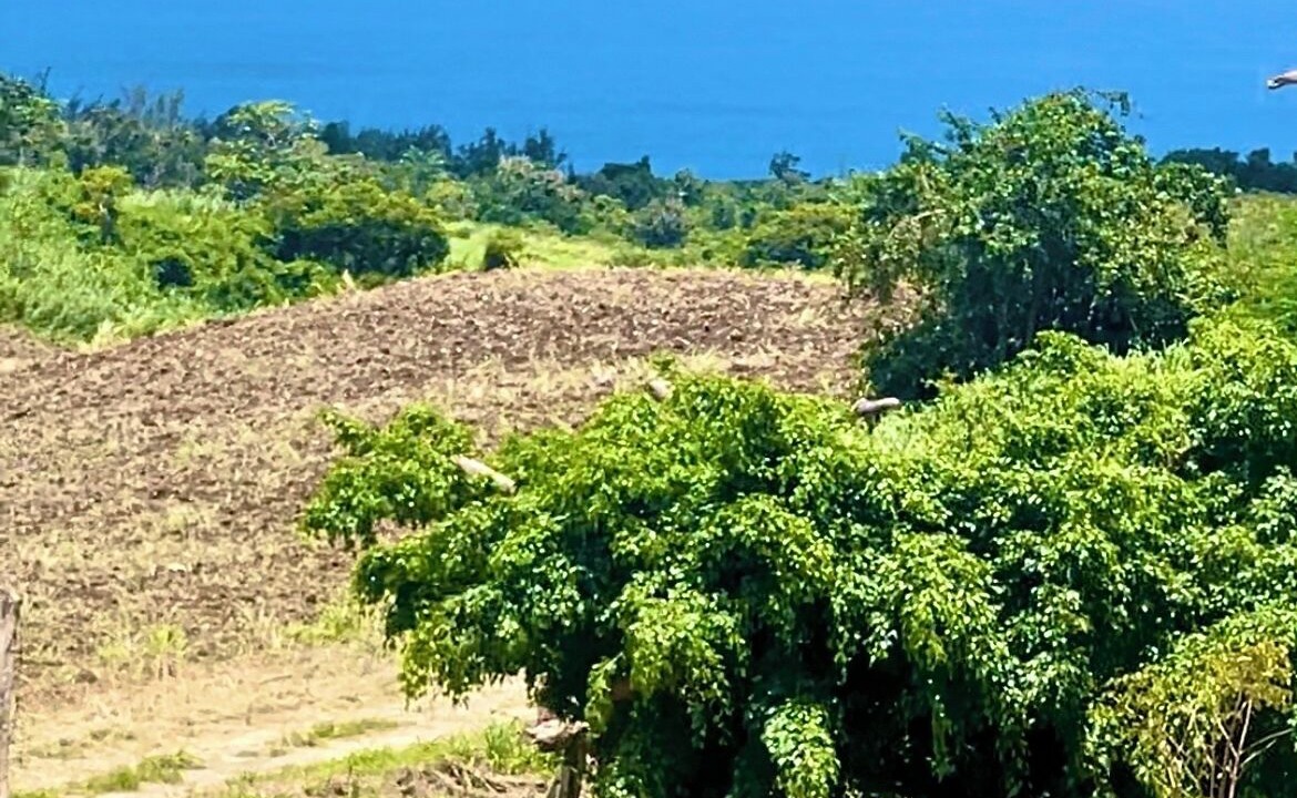 Photo of Outdoor in Gibbs Bay