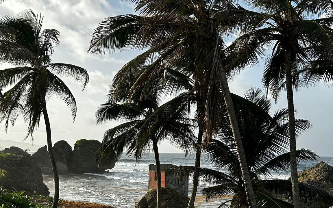 Photo of Outdoor in Hill Crest