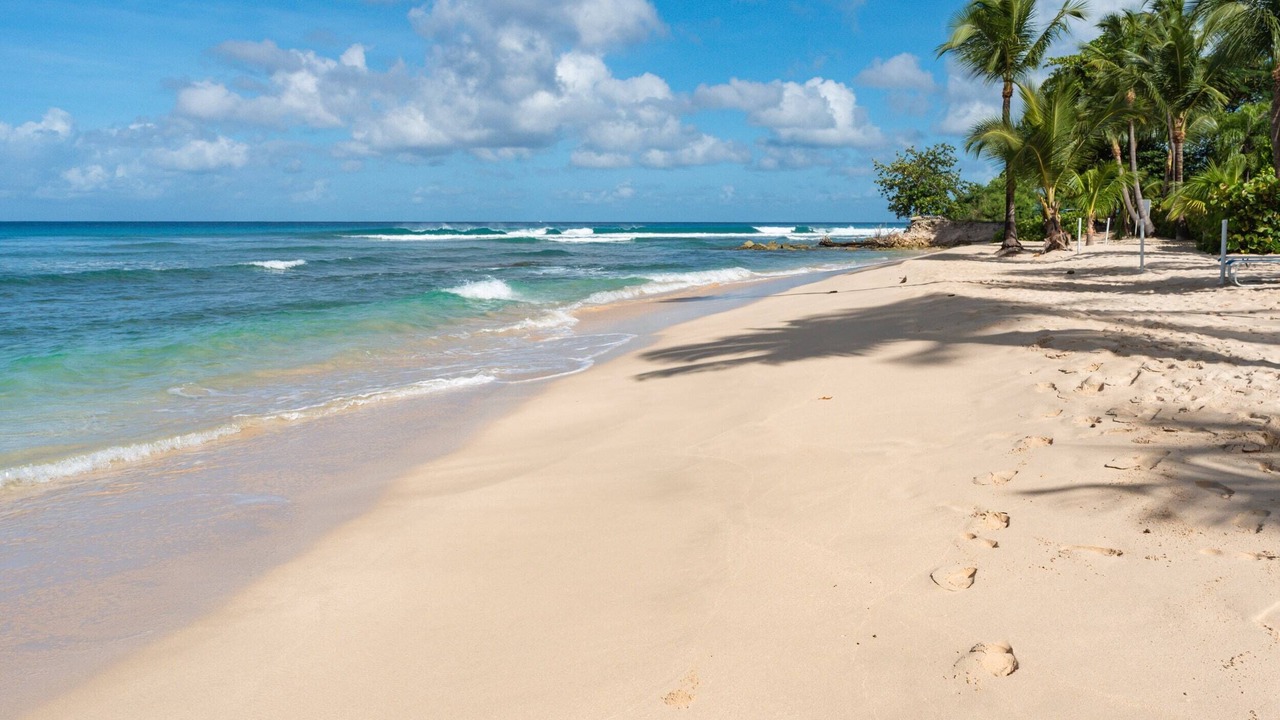 Photo of Others in Schooner Bay
