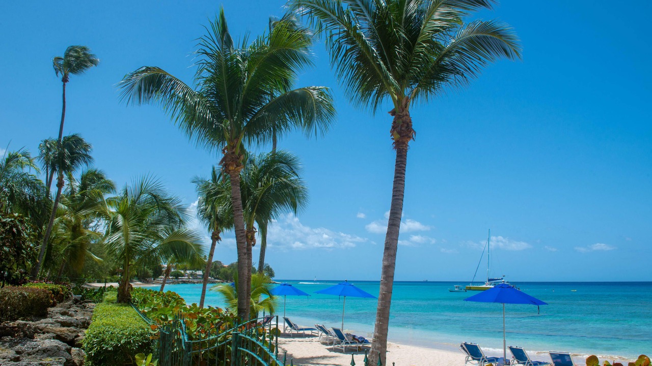 Photo of Others in Schooner Bay