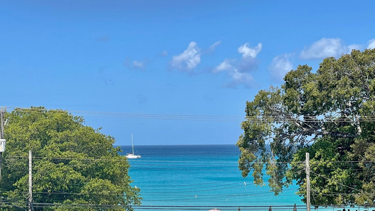 Photo of Others in Reeds Bay