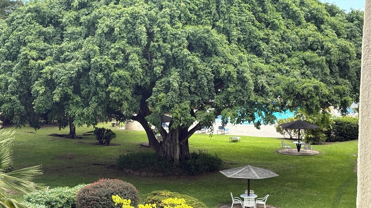 Photo of Outdoor in Sunset Crest
