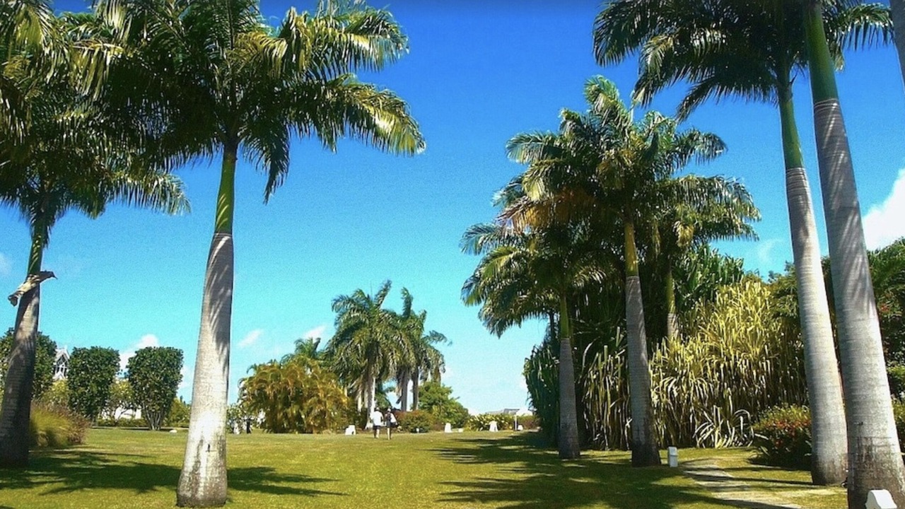 Photo of Others in Merlin Bay