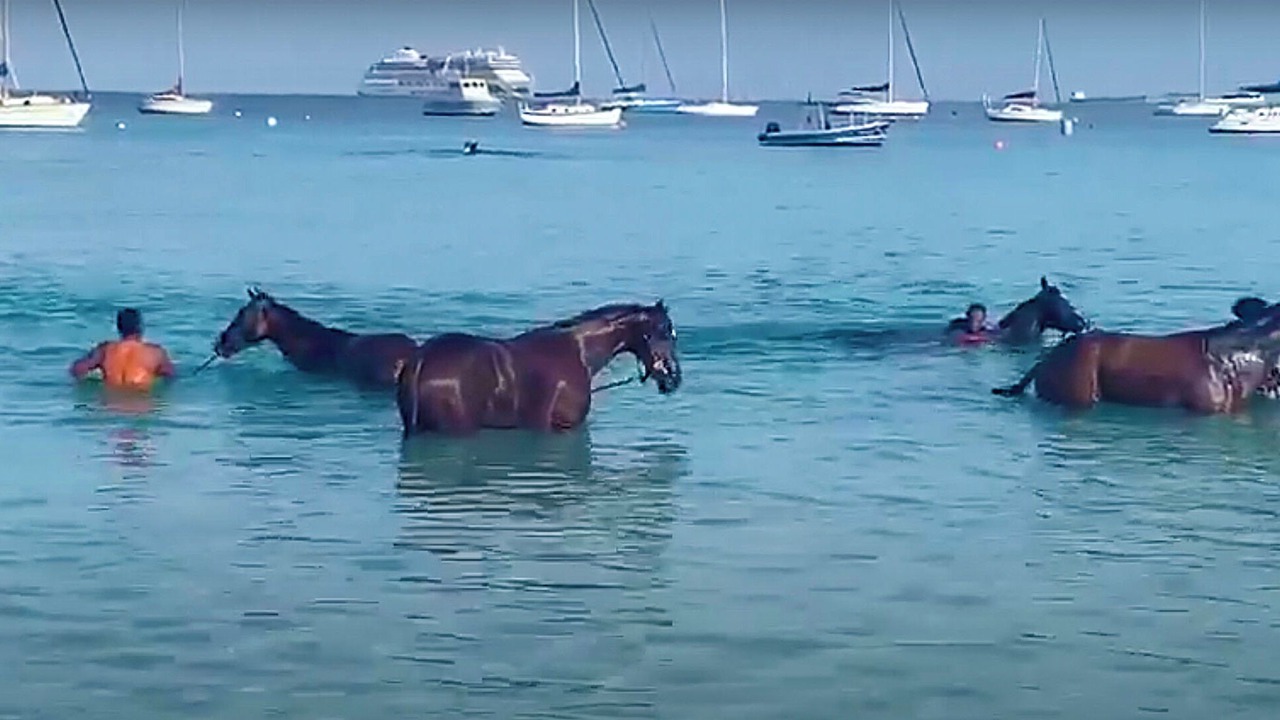 Photo of Others in Gibbs Bay