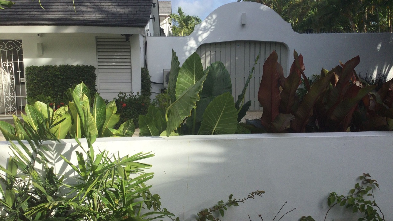 Photo of Outdoor in Halcyon Heights