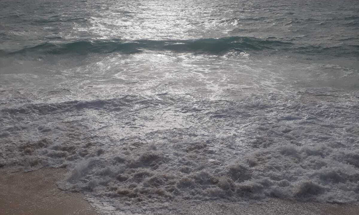 Photo of Others in Ocean City