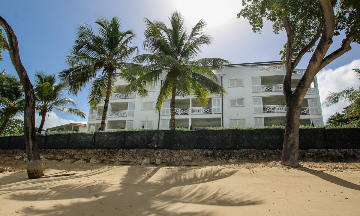 Photo of Others in Old Trees Bay
