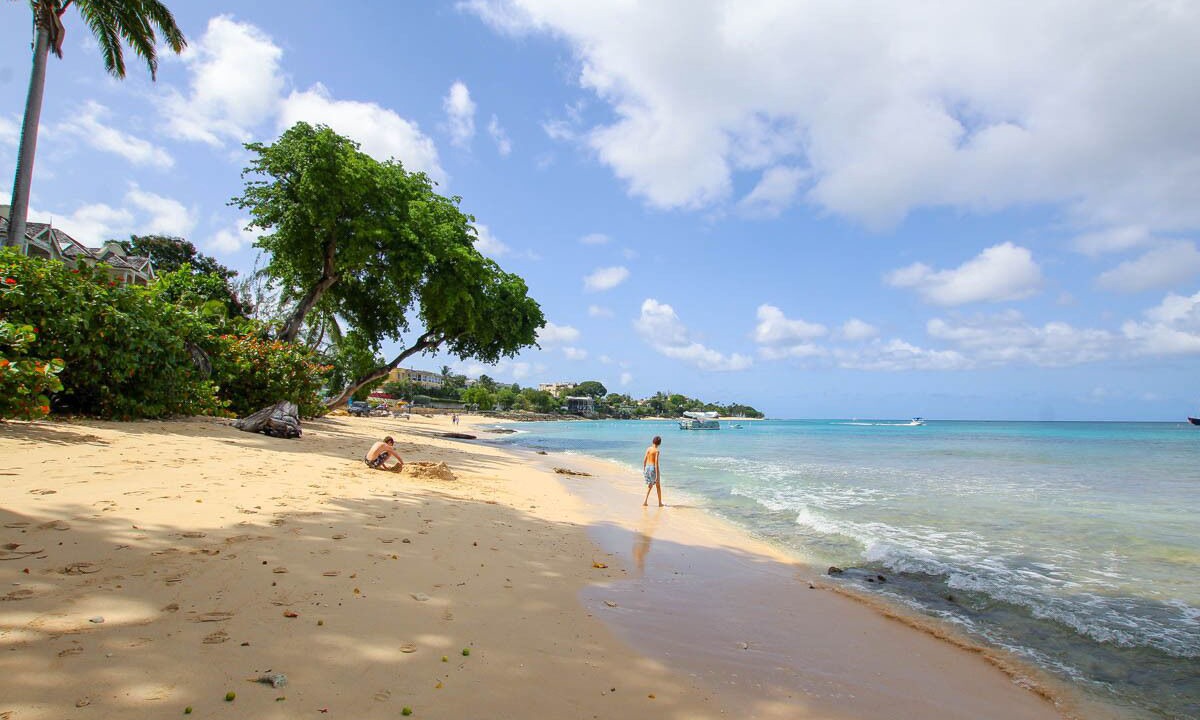 Photo of Others in Old Trees Bay