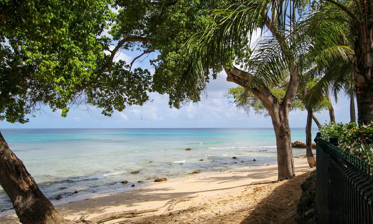 Photo of Outdoor in Old Trees Bay