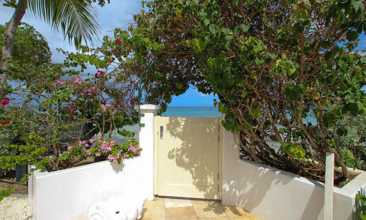 Photo of Outdoor in Old Trees Bay