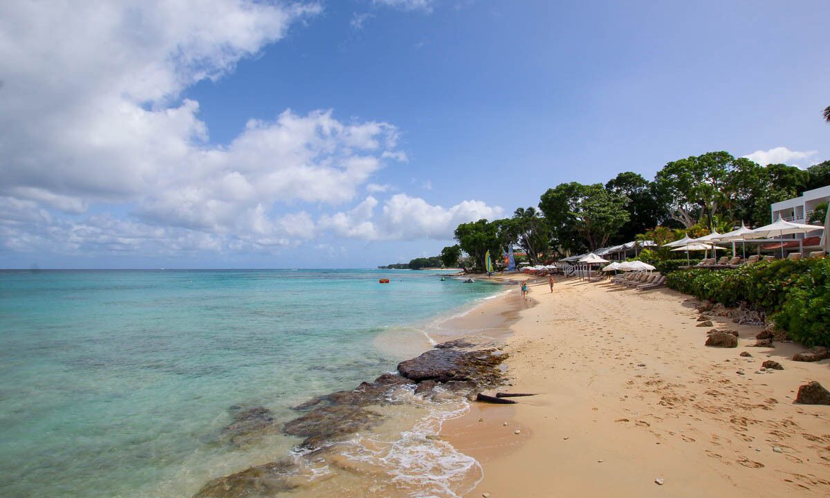 Photo of Others in Old Trees Bay