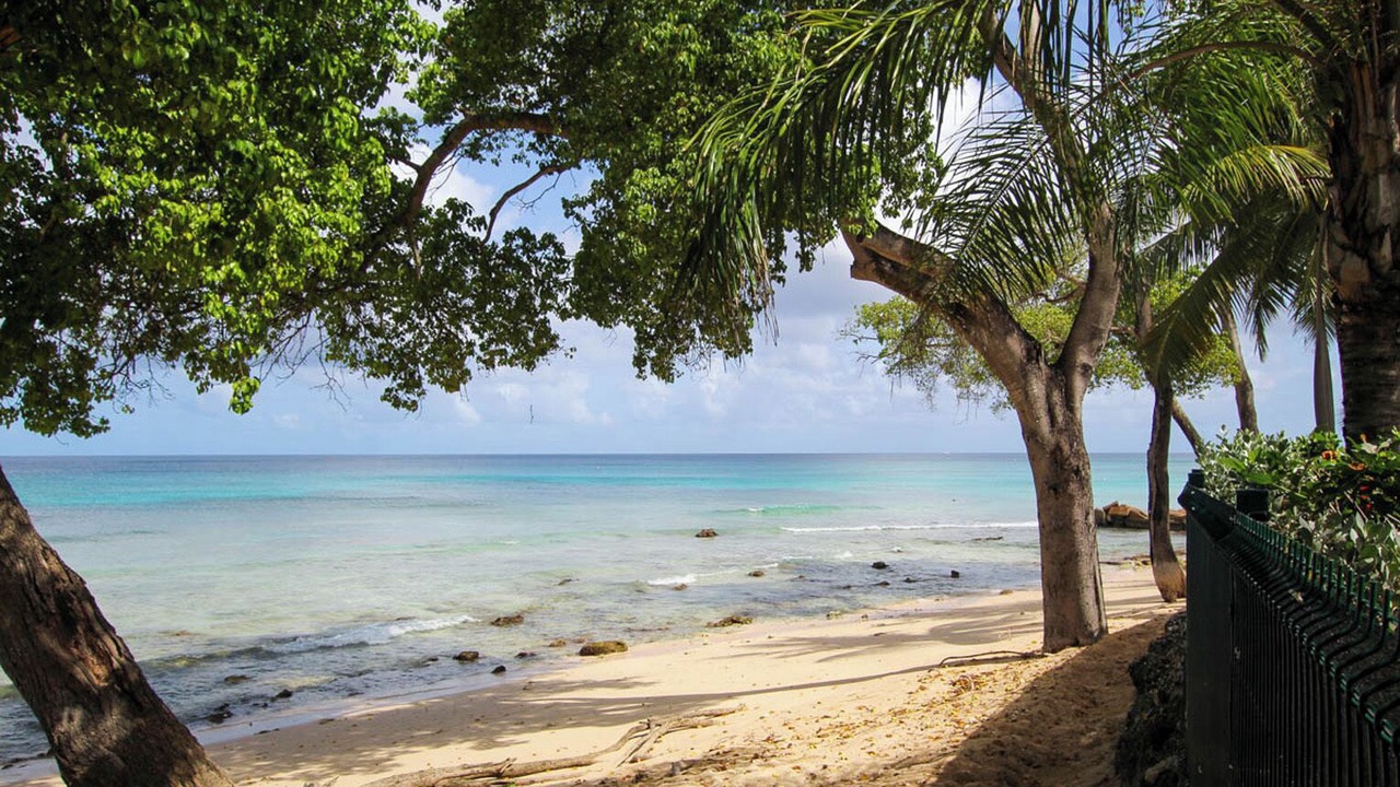 Photo of Outdoor in Old Trees Bay