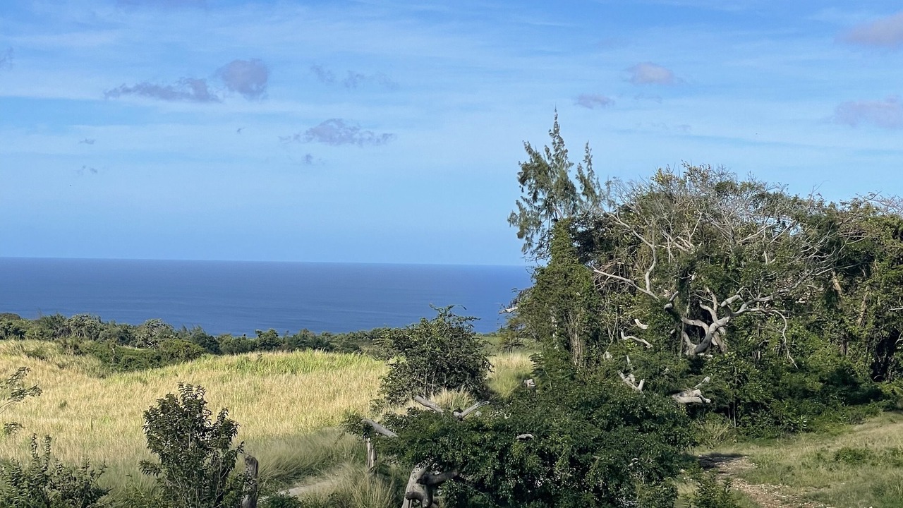 Photo of Others in Gibbs Bay
