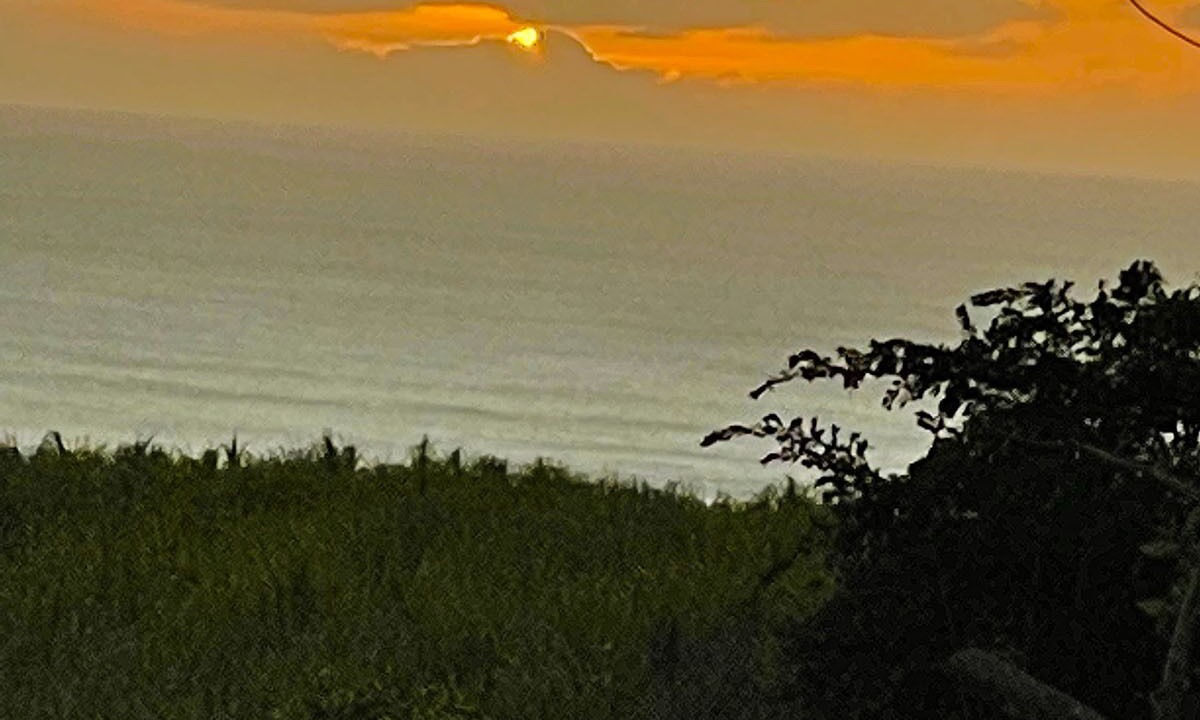 Photo of Others in Gibbs Bay