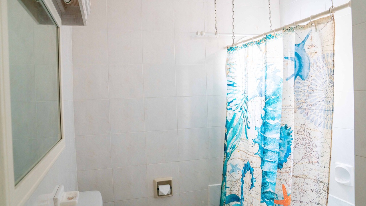 Photo of Bathroom in Speightstown