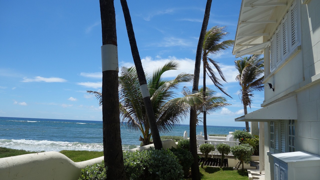 Photo of Outdoor in Silver Sands