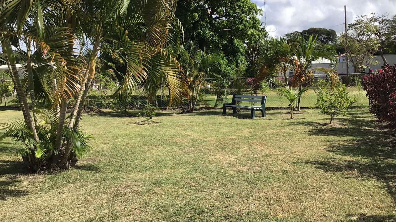 Photo of Outdoor in Oistins