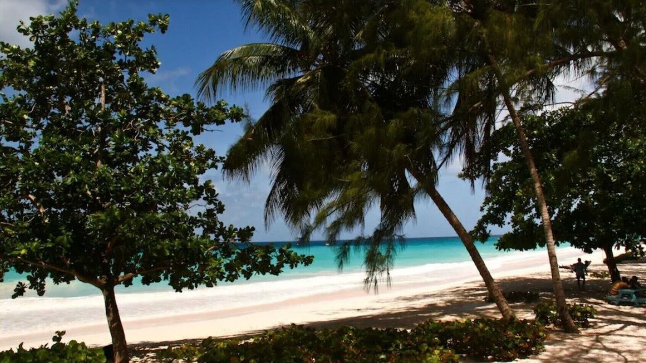 Photo of Others in Atlantic Shores