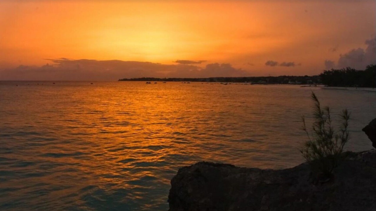 Photo of Others in Atlantic Shores