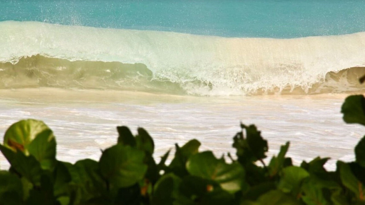 Photo of Others in Atlantic Shores
