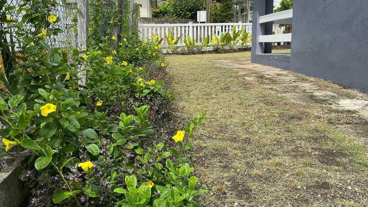 Photo of Outdoor in Halcyon Heights