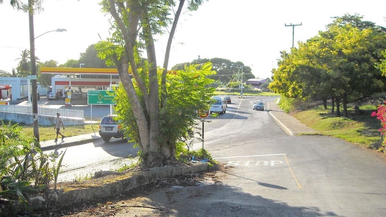 Photo of Others in Top Rock