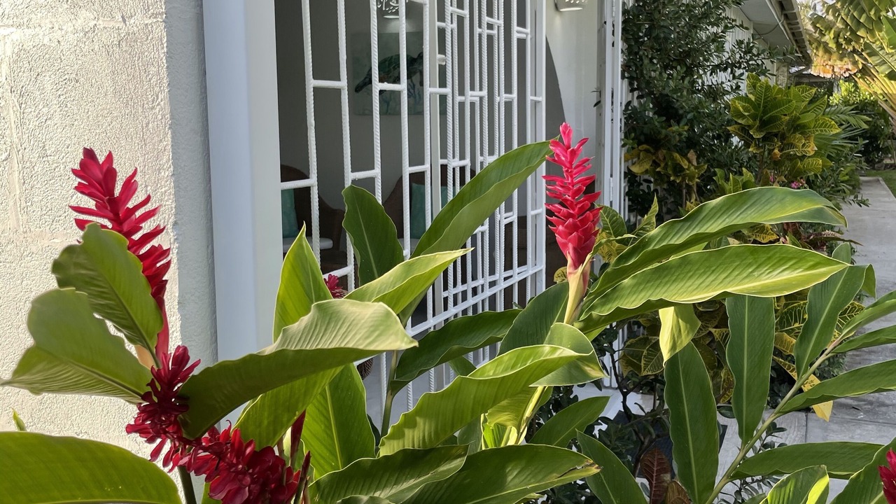 Photo of Outdoor in Sunset Crest